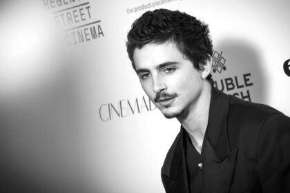 the-most-pressing-question-of-oscar-season:-why-not-timothy?