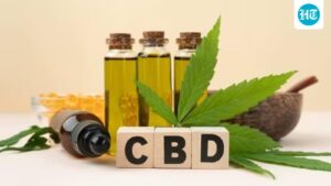 ncb-dismantles-drug-network-between-nepal,-india-and-sri-lanka;-77-kilograms-of-cannabis-oil-were-seized-and-5-people-were-arrested