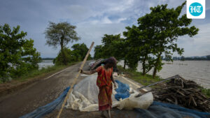 india-report-to-cbd:-field-trials-of-several-gm-crops-are-currently-underway