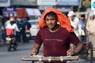 weather-in-ahmedabad:-rain-or-sweat?-imd-predictions-for-the-city-ahead-of-the-ind-vs-nz-t20-world-cup-final