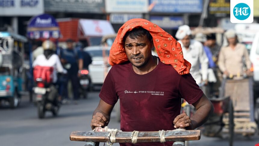 weather-in-ahmedabad:-rain-or-sweat?-imd-predictions-for-the-city-ahead-of-the-ind-vs-nz-t20-world-cup-final