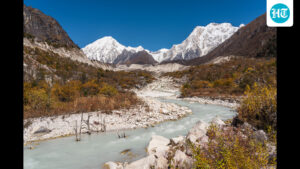 global-warming-is-decimating-ice-based-ecosystems