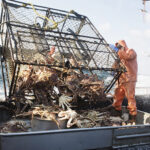 details-of-todd-meadows’-“deadliest”-death-are-reported-by-his-colleague-dickhand