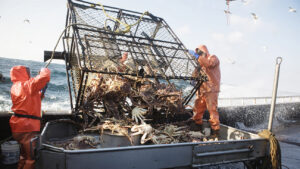 details-of-todd-meadows’-“deadliest”-death-are-reported-by-his-colleague-dickhand