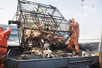 details-of-todd-meadows’-“deadliest”-death-are-reported-by-his-colleague-dickhand