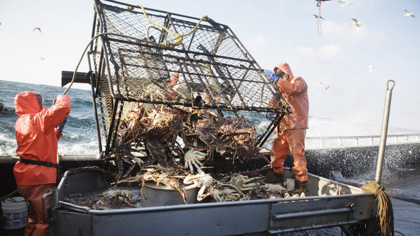 details-of-todd-meadows’-“deadliest”-death-are-reported-by-his-colleague-dickhand