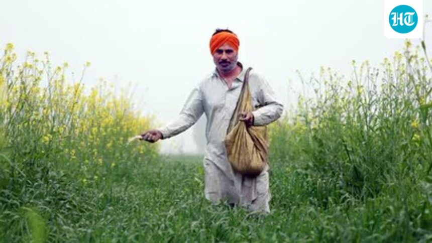 scientifically:-the-gene-found-in-rice-can-reduce-the-use-of-fertilizers