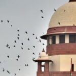 sc-says-speedy-trial-means-justice-for-victims-as-well