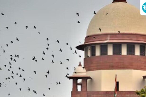 sc-says-speedy-trial-means-justice-for-victims-as-well