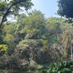 the-center-moves-to-prepare-the-body-for-rapid-environmental-gestures