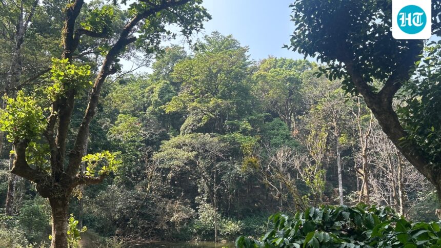 the-center-moves-to-prepare-the-body-for-rapid-environmental-gestures