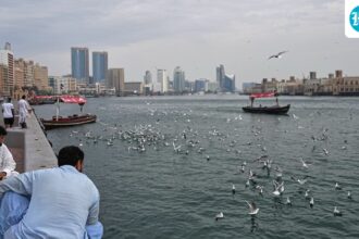 an-indian-is-among-4-injured-in-a-drone-crash-near-dubai-airport-amid-the-iran-us-war