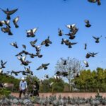 delhi-records-hottest-day-of-the-season-at-36.8°c,-improvement-likely-next-week