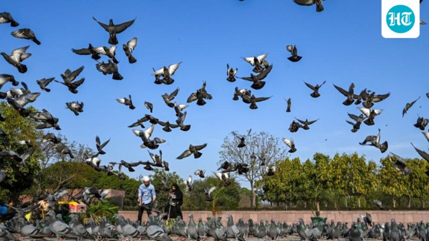 delhi-records-hottest-day-of-the-season-at-36.8°c,-improvement-likely-next-week