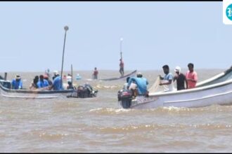 fishing-trips-in-goa-have-been-halted-due-to-lpg-shortage-hitting-fishing-vessels-amid-conflict-in-west-asia