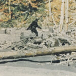 ‘capturing-bigfoot’-review:-cultural-mystique-meets-family-history-in-a-captivating-and-suggestive-doc