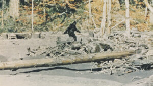 ‘capturing-bigfoot’-review:-cultural-mystique-meets-family-history-in-a-captivating-and-suggestive-doc