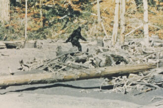 ‘capturing-bigfoot’-review:-cultural-mystique-meets-family-history-in-a-captivating-and-suggestive-doc