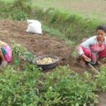 agricultural-land-in-uttarakhand-has-declined-by-nearly-16%-since-the-formation-of-the-state-in-2000:-govt