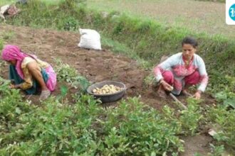 agricultural-land-in-uttarakhand-has-declined-by-nearly-16%-since-the-formation-of-the-state-in-2000:-govt