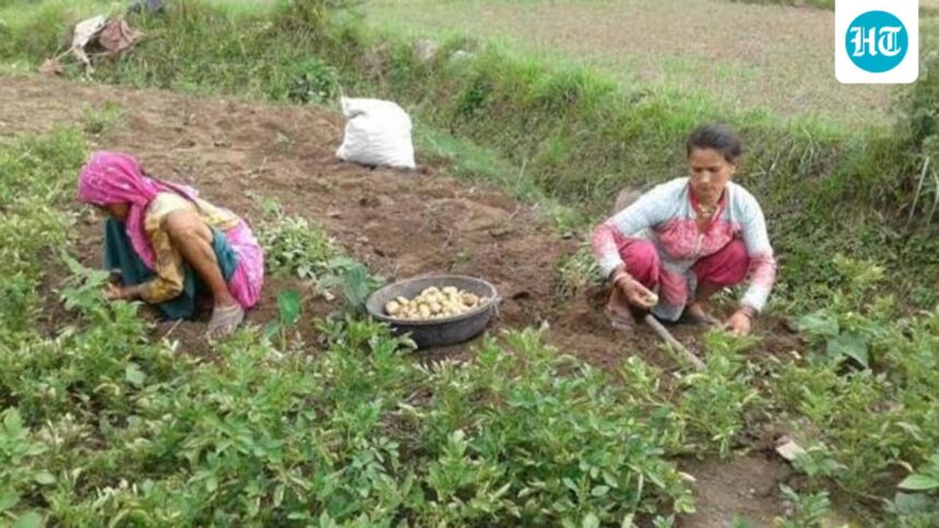 agricultural-land-in-uttarakhand-has-declined-by-nearly-16%-since-the-formation-of-the-state-in-2000:-govt
