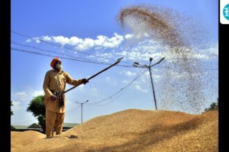 officials:-the-country-has-a-surplus-in-grain-stocks
