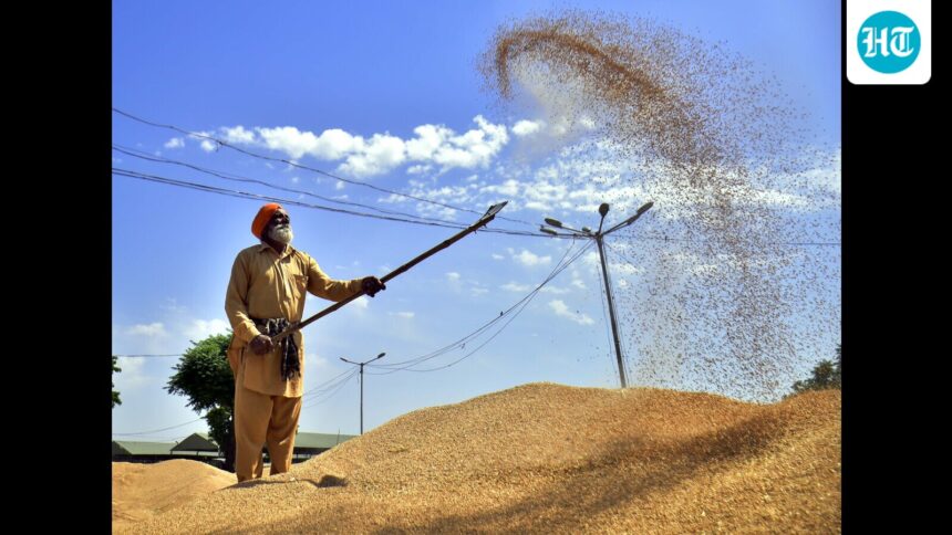 officials:-the-country-has-a-surplus-in-grain-stocks