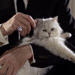 the-director-of-“the-last-films”-talks-about-“redrawing-the-map”-of-the-twentieth-century-through-the-final-film-experiences-of-celebrities