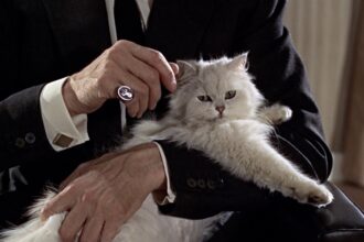 the-director-of-“the-last-films”-talks-about-“redrawing-the-map”-of-the-twentieth-century-through-the-final-film-experiences-of-celebrities