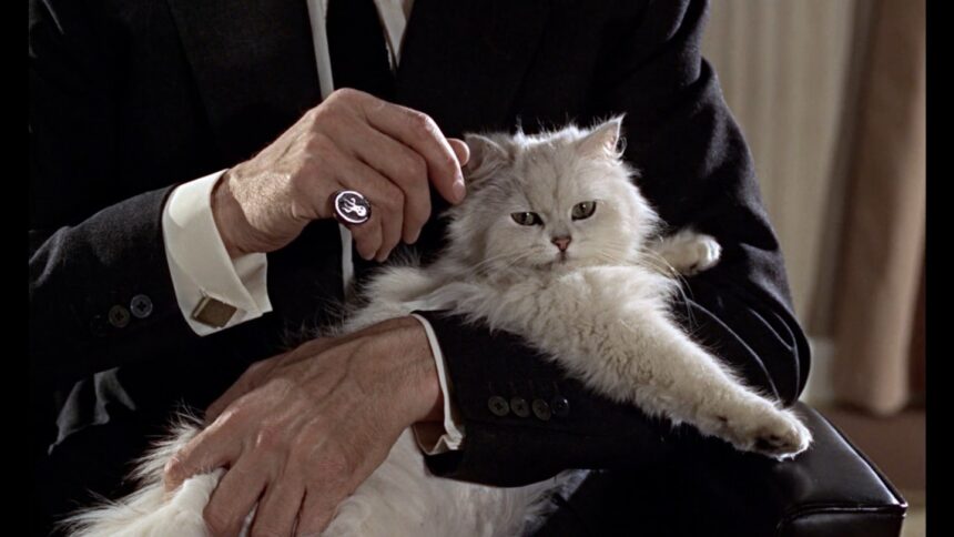 the-director-of-the-last-films-talks-about-redrawing-the-map-of-the-twentieth-century-through-the-final-film-experiences-of-celebrities | GIBN the-director-of-“the-last-films”-talks-about-“redrawing-the-map”-of-the-twentieth-century-through-the-final-film-experiences-of-celebrities