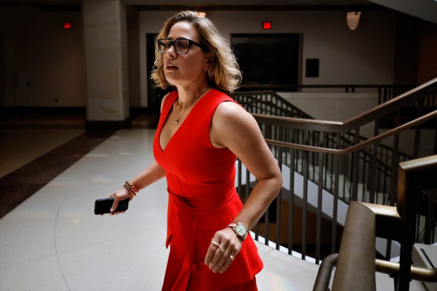 kyrsten-sinema:-yes,-i-slept-with-my-married-bodyguard-but-never-in-north-carolina!