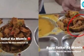 “it’s-a-pepper”:-a-student-claims-that-there-is-a-lizard-in-the-food-of-the-university-of-bhopal,-and-the-staff-eat-it-to-deny-the-claim