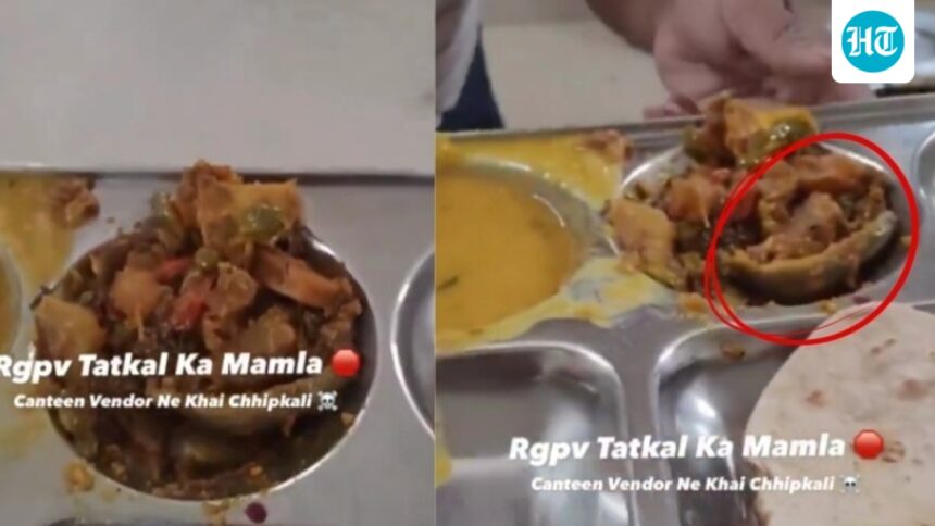 “it’s-a-pepper”:-a-student-claims-that-there-is-a-lizard-in-the-food-of-the-university-of-bhopal,-and-the-staff-eat-it-to-deny-the-claim