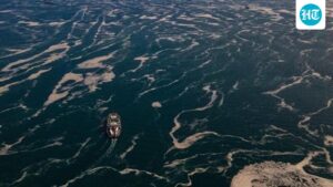 a-new-study-links-rising-sea-surface-temperatures-to-humid-heat-waves-on-earth