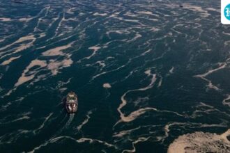 a-new-study-links-rising-sea-surface-temperatures-to-humid-heat-waves-on-earth