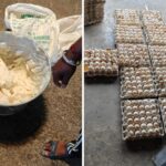 hyderabad-bakery-made-donuts,-cakes-containing-‘rotten-eggs-and-dangerous-chemicals’:-cops