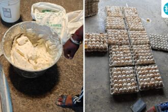 hyderabad-bakery-made-donuts,-cakes-containing-‘rotten-eggs-and-dangerous-chemicals’:-cops