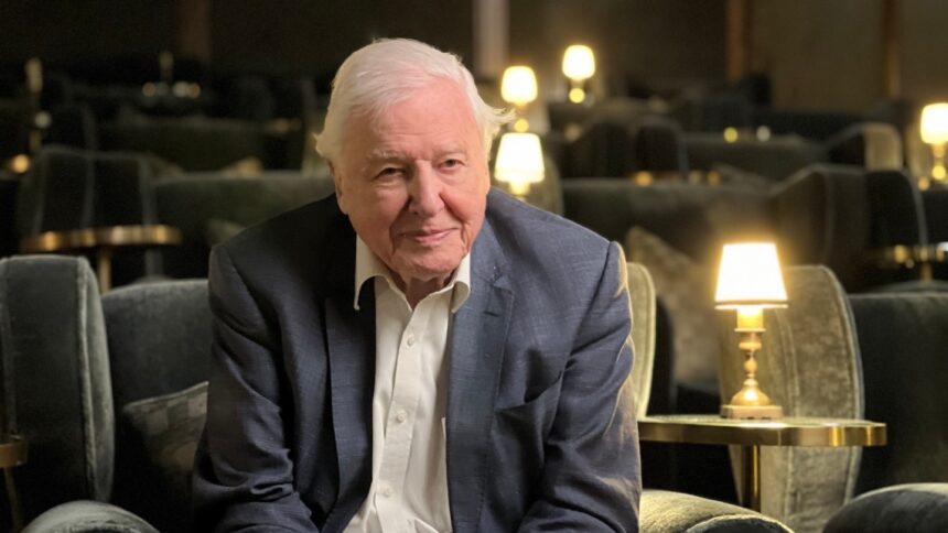 pbs-partners-with-itvs-to-launch-youtube-documentary-channel