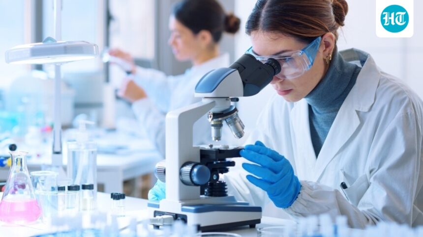 new-coronavirus-variant-ba32-is-spreading-in-the-us-should-you-be-worried | GIBN new-coronavirus-variant-ba3.2-is-spreading-in-the-us:-should-you-be-worried?