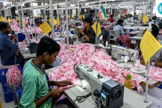 data-shows-plfs-2025:-labor-market-overcomes-covid-shock
