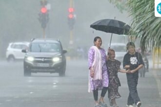 imd-issues-yellow-alert-for-delhi;-rain-and-thunderstorms-likely-across-northern-india-amid-western-disturbances