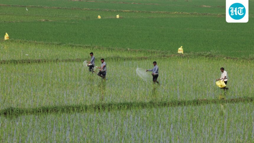 center-uses-farmer-database-to-ration-subsidized-fertilizers