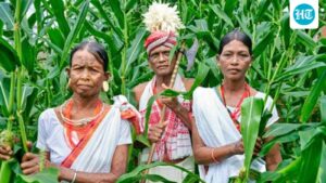 half-of-odisha’s-most-vulnerable-tribes-are-cut-off-from-welfare-schemes:-cag-report