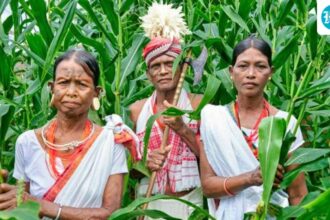 half-of-odisha’s-most-vulnerable-tribes-are-cut-off-from-welfare-schemes:-cag-report