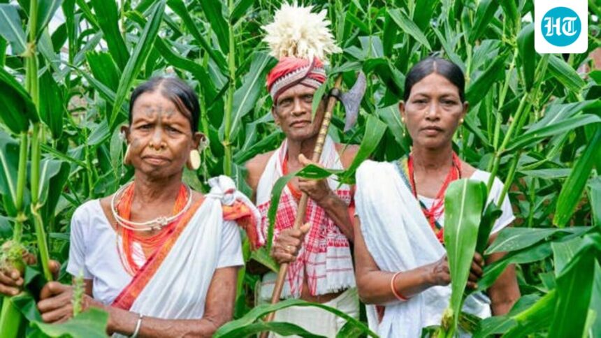 half-of-odisha’s-most-vulnerable-tribes-are-cut-off-from-welfare-schemes:-cag-report