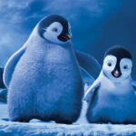 the-broadway-musical-“happy-feet”-is-in-progress