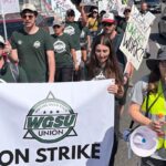 writers-guild-of-the-west-will-soon-lose-health-coverage-amid-strike