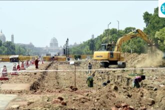 the-central-vista-project-records-a-43%-loss-in-planted-trees