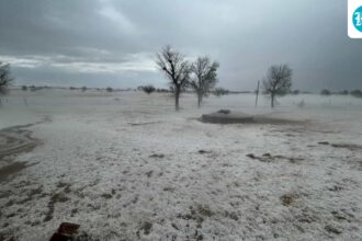 ‘not-kashmir’:-bikaner-in-rajasthan-turns-white-after-severe-hailstorm-|-he-watches
