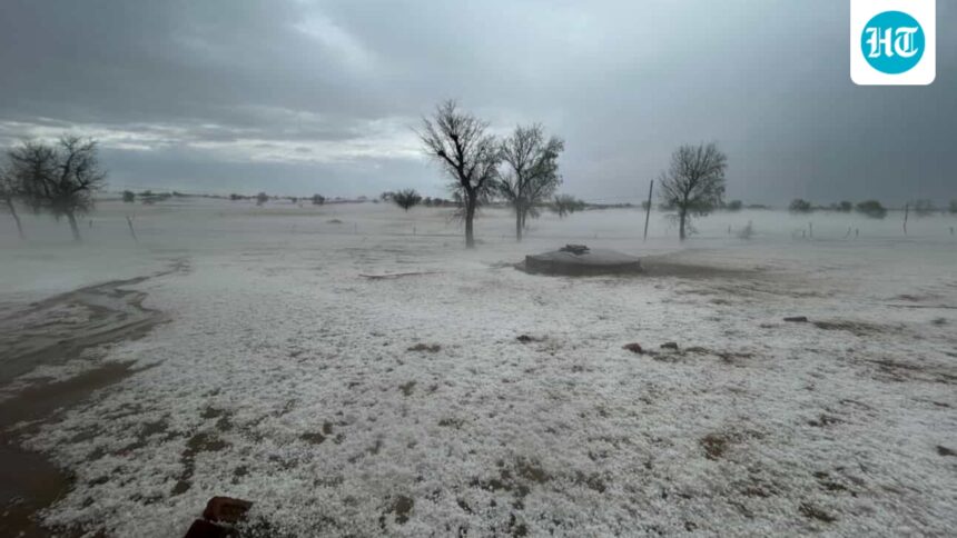 ‘not-kashmir’:-bikaner-in-rajasthan-turns-white-after-severe-hailstorm-|-he-watches